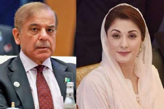 Shahbaz Sharif and Maryam Nawaz rejected the Indian Supreme Court decision