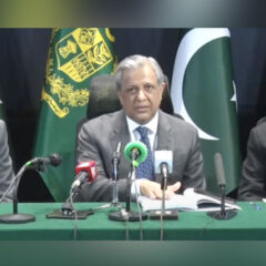 وفاقی وزیر قانون