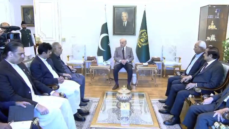 سید نہال ہاشمی