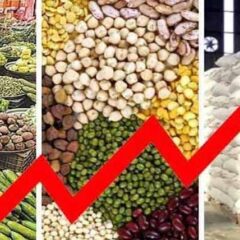 پیٹرولیم مصنوعات