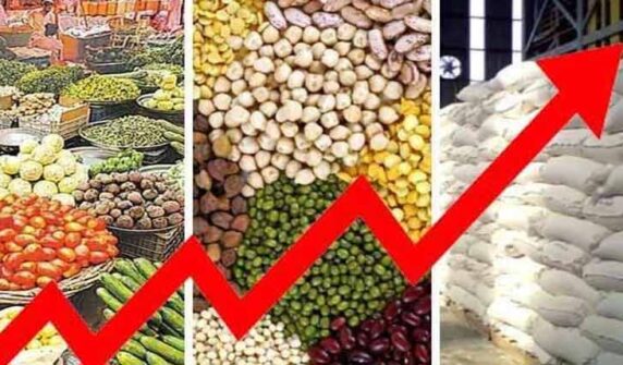 پیٹرولیم مصنوعات