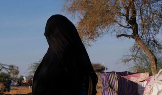 ڈاکٹرز ودآؤٹ