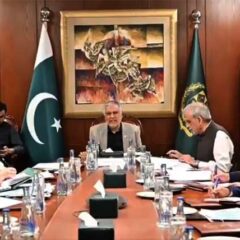 اسحاق ڈار کا